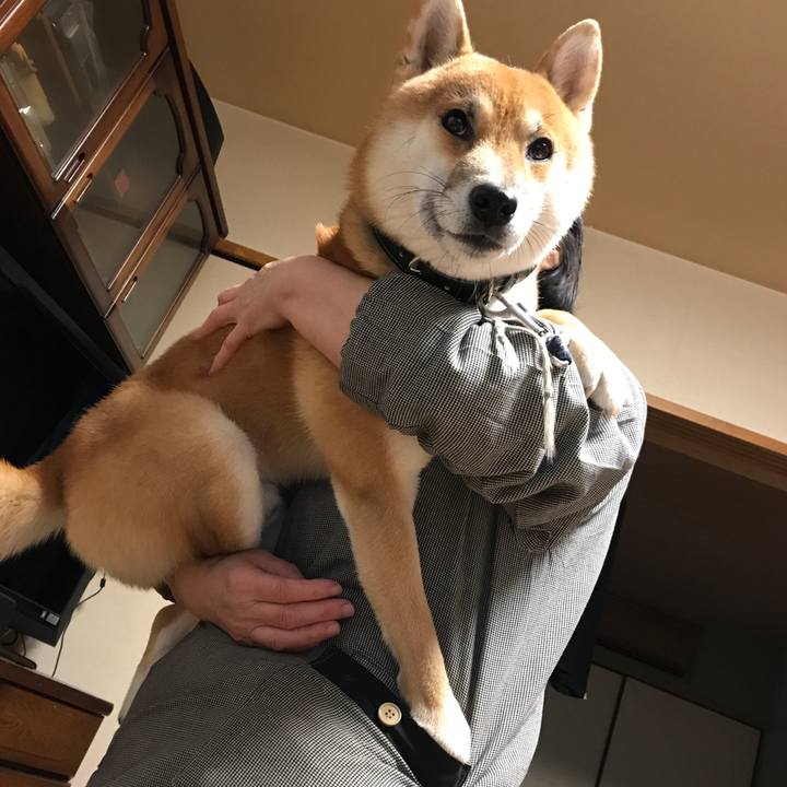 1e849d7f 55ae 487c b283 7896967b907f 1513121647174