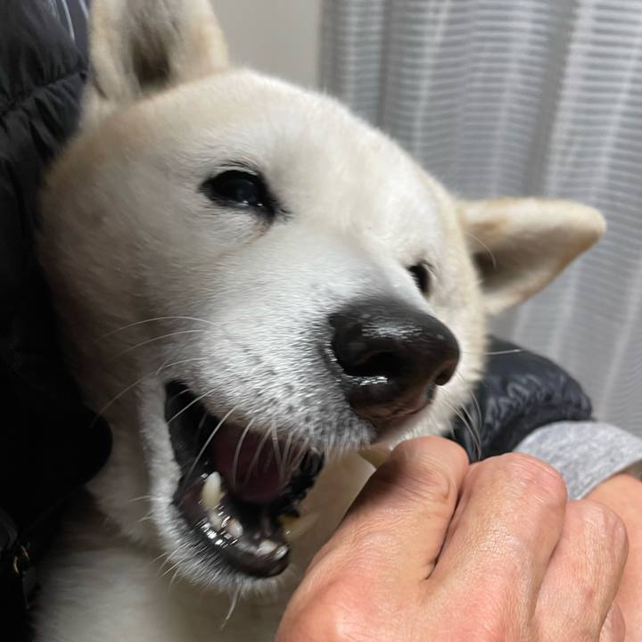 1e84b69e 33bf 493b 9fef e8cc1339d3fb 1646643642247