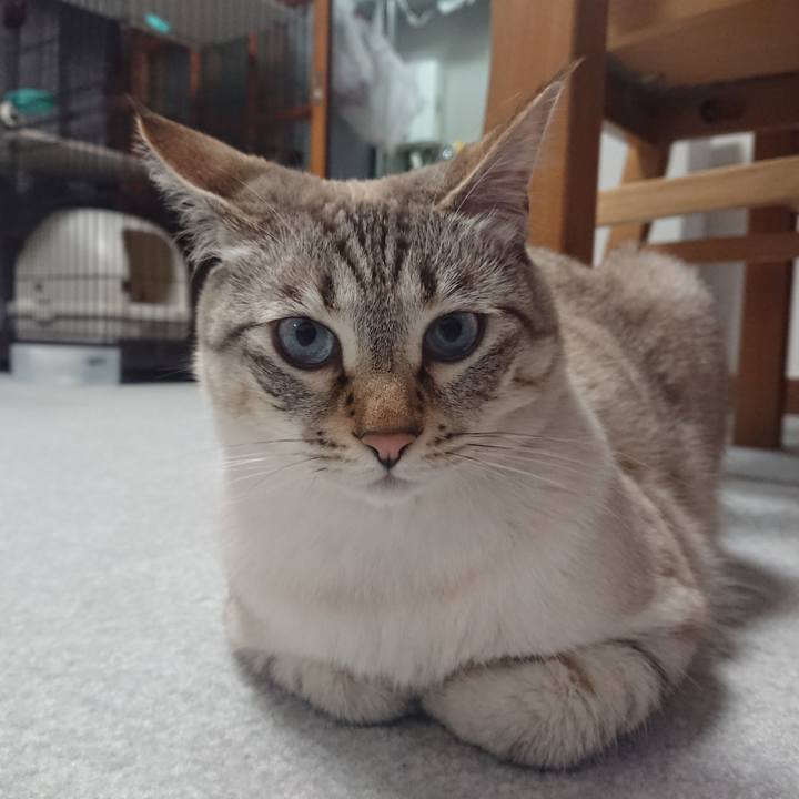 1e84c76d 5484 4de2 a9f4 49b374e13774 1524562978536