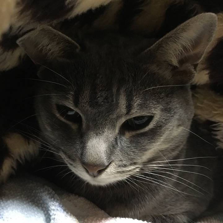 1e84ce82 d530 4e32 9dcf 3b21fe9f1f93 1560078041832