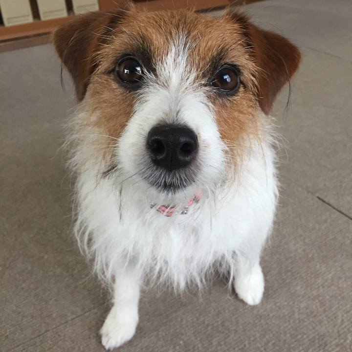 1e84d2d9 b1ab 4947 90ee 8664d77a6d65 1523698047385