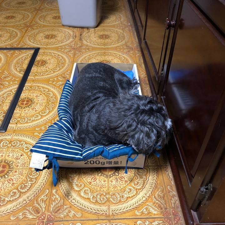 1e851359 6421 458f 8f1a 3e63389b0ac8 1633950164342