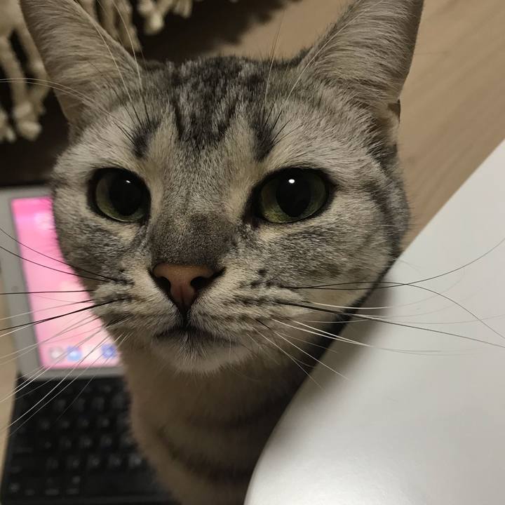 1e852218 bc76 4483 b9d1 cf935b477c25 1549972367761