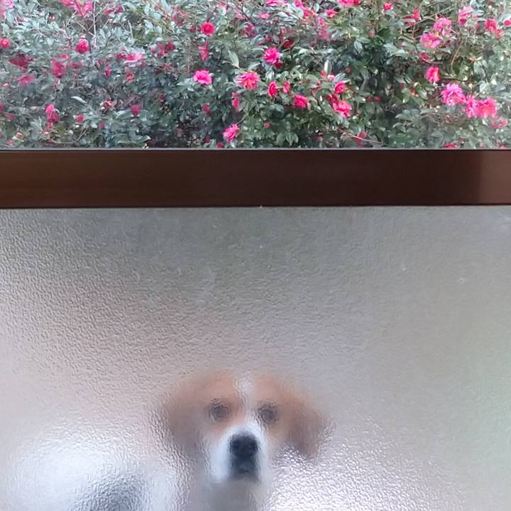 1e8542bf 7a38 4354 b2bb de106df137a9 1578639096876