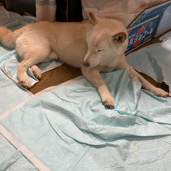 1e85438d 145a 4130 9f1c a3657ec6581e 1635322129795