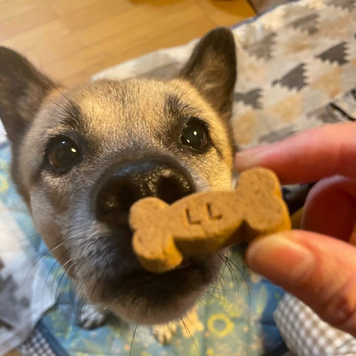 1e85a3cf a2f5 436f 96f3 551cd73500a2 1698930835717