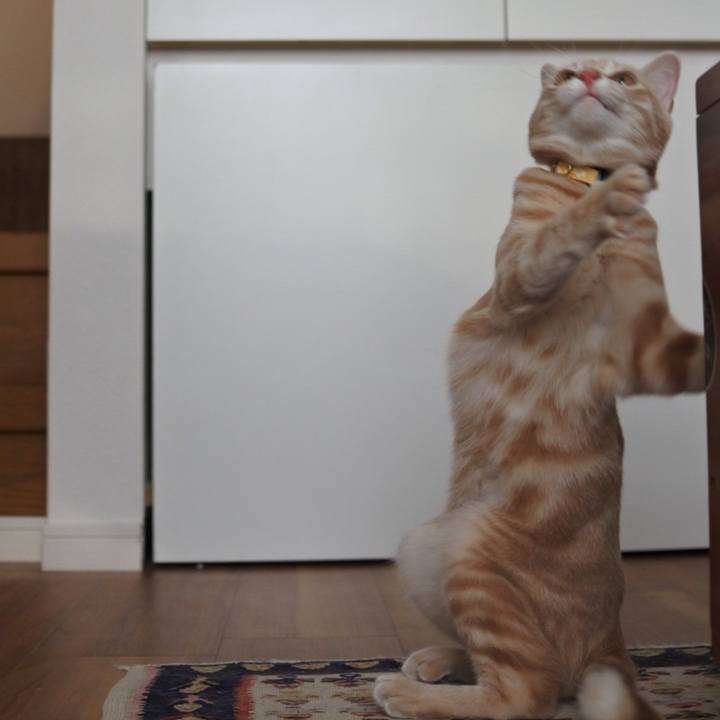 1e85be01 e937 42d8 8210 69fccb43fee5 1557501468305