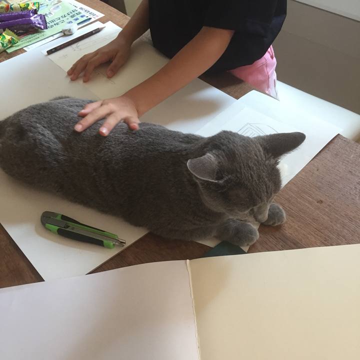 1e85d06c dff4 4576 aeae 26c977c06c36 1531782623417