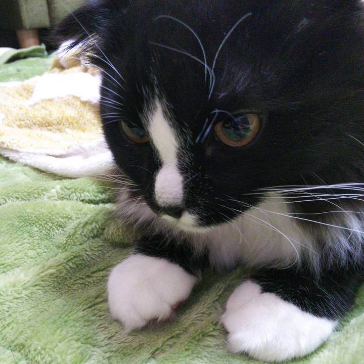 1e85feeb 4c6e 40ae 9258 ac167dfe88cf 1647342235633