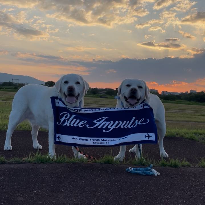 1e86458f 0378 49e2 919e 0e243eb36e5a 1764222606189