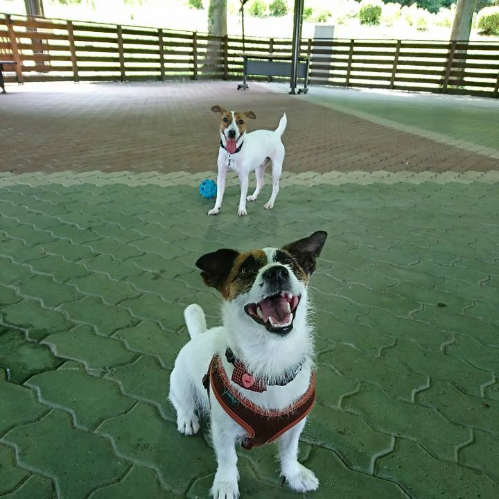 1e865379 797e 45ef aa45 70d40f3e1fd4 1530611139946