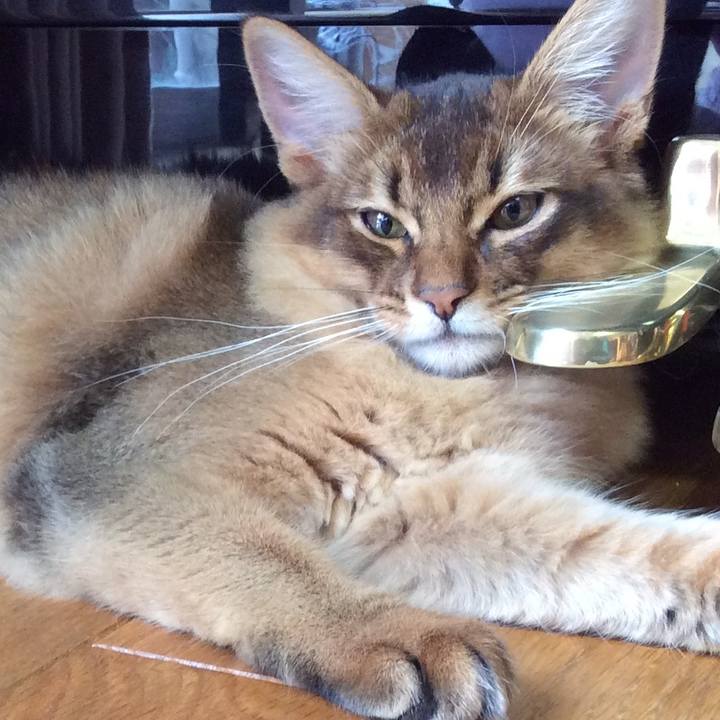 1e86ded1 29ce 45e1 bfba c26f4796b343 1575766474362