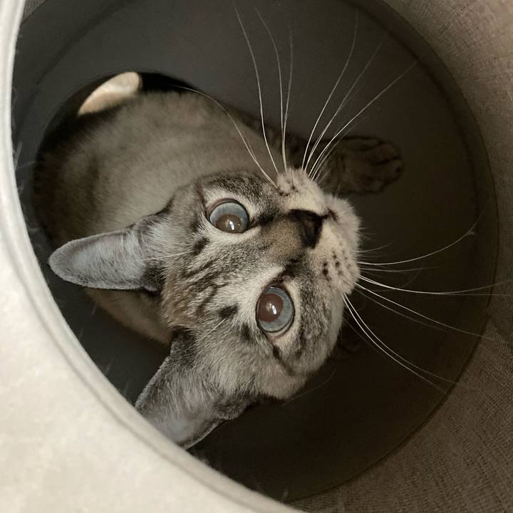 1e870038 6d63 4591 93fe 6aa2087d54e6 1638748787021