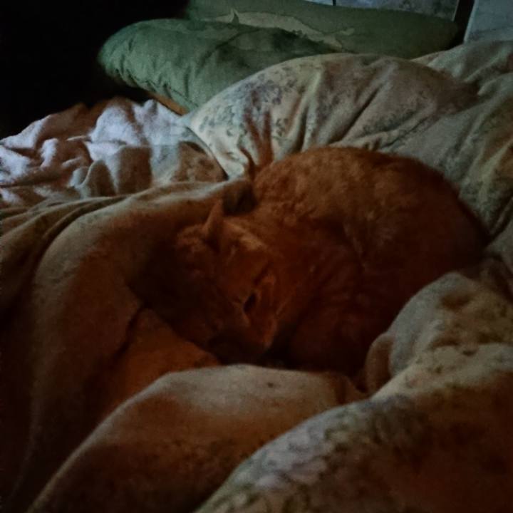 1e871239 ac96 477d adee ee2cc8f8140f 1659736233778