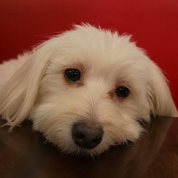 1e8794e7 98c5 4274 bb3e d0590e3ab4a7 1771915623348