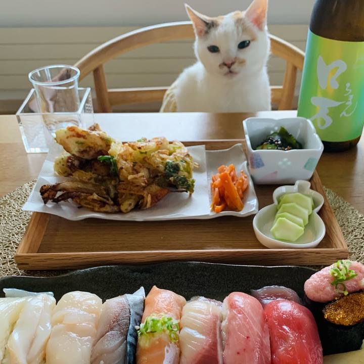 1e87a538 29f1 4e13 aa55 45a0a14632a1 1622301623013