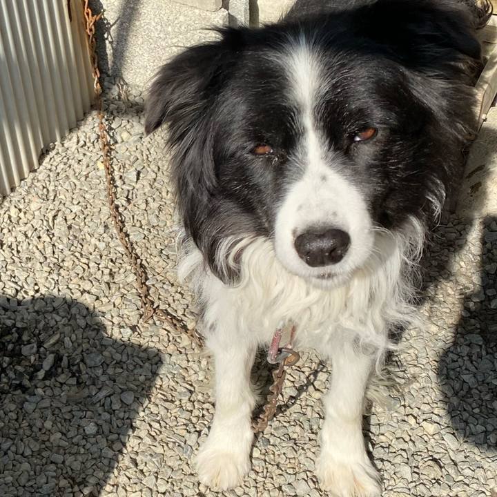 1e87dd93 e579 417a 839f 283645ba2a10 1704773019185