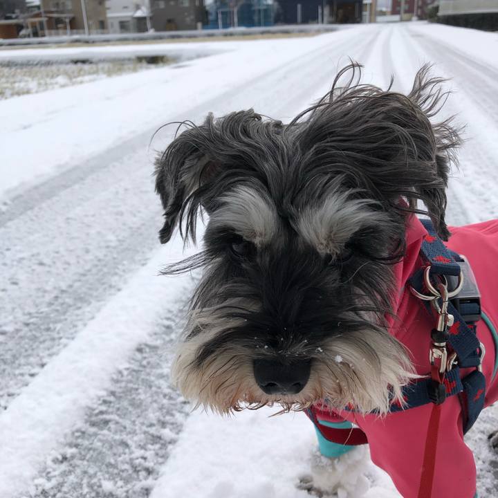 1e87fddb 00b2 41e8 be42 180e451dd1f3 1609384182876