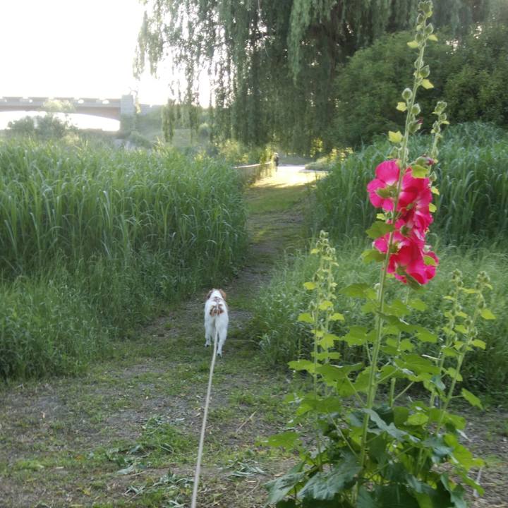 1e8840f3 1a3a 400b 8a2d 3cfa3a995c20 1527325663383