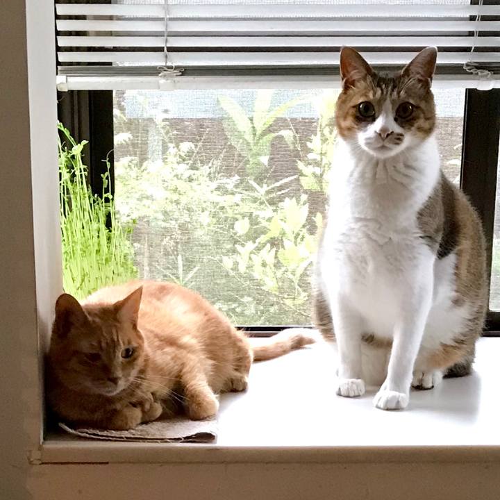 1e8869d6 b946 4e28 94be 50e5b08cd783 1562290198130