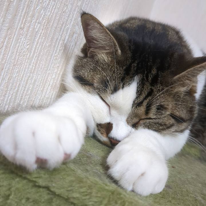 1e88781b 35da 4a28 afe4 7eb2dd1ef58e 1754466846988