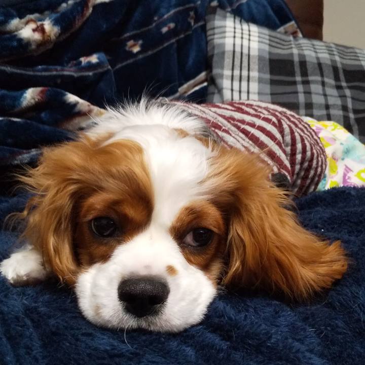 1e88817e a611 469d 829c 25f0041999f9 1577038092748