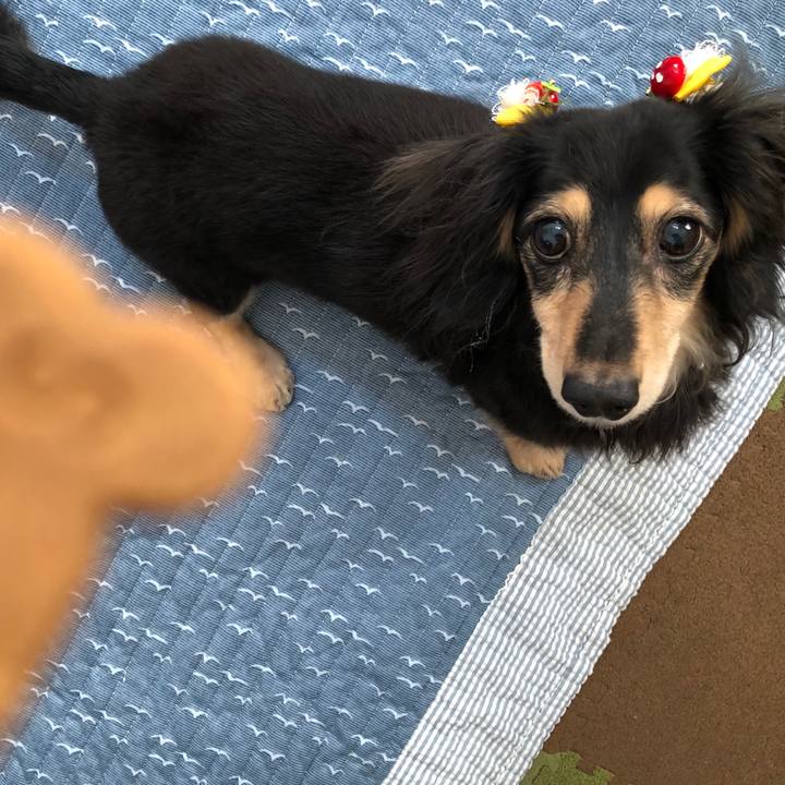 1e88ee24 4558 4f4e b794 cb650b96b6cc 1569902203999