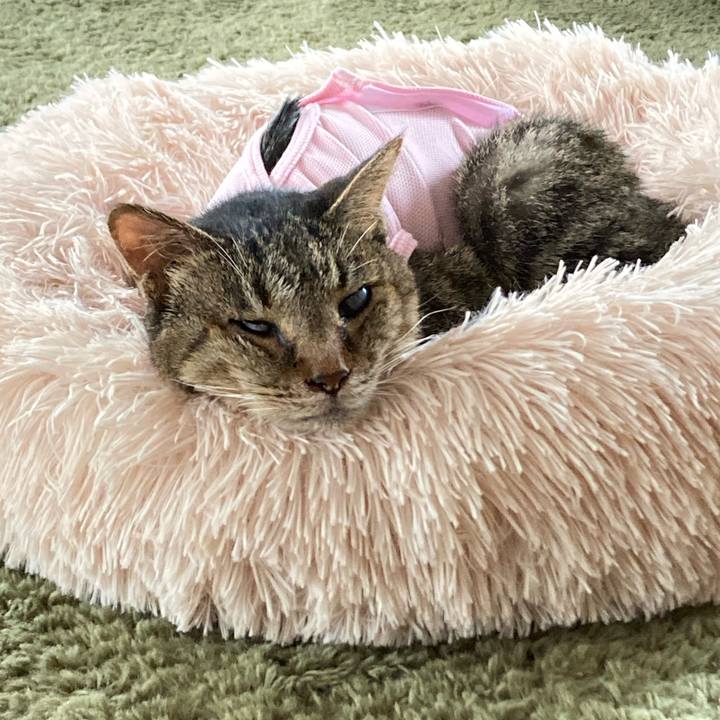 1e8922d9 cb51 41c2 a62d ed2fa2680377 1685611143703