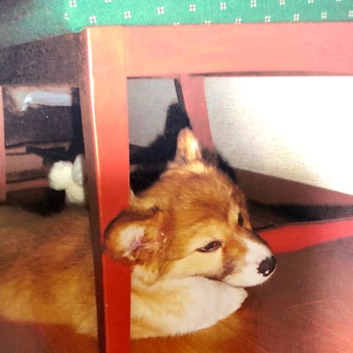 1e895177 56a1 468f 9ece 1d455ce98aae 1534825360502