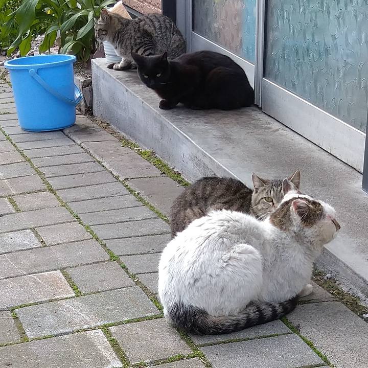 1e898c12 9346 40e2 a78b 2135b2b0fb93 1623118828988