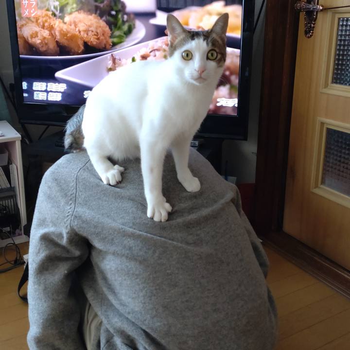 1e899387 fc94 407f a70f df8908919edf 1666237557464