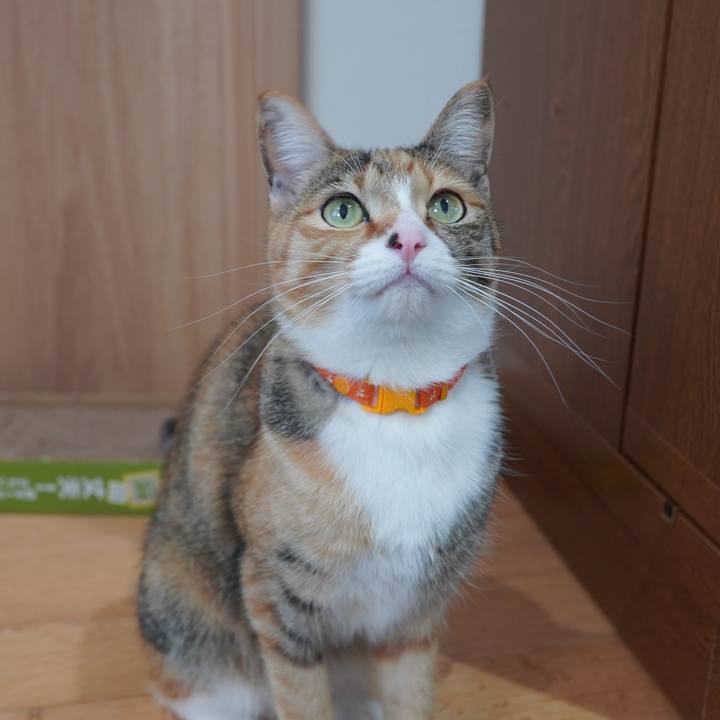 1e89a37c 0dc6 4ac8 9b85 563f02a1cdf9 1613557307833