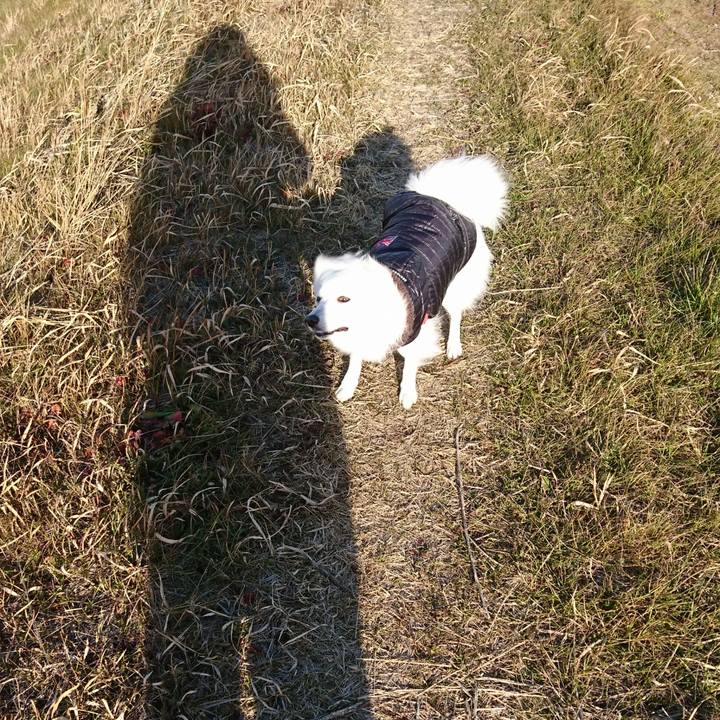 1e89ce03 a3a1 488c a826 8ba6e3d287b4 1516775918100