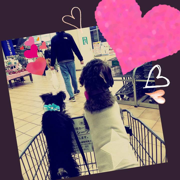 1e8a271b 9960 4e02 a807 932e8bb35d98 1550324731364