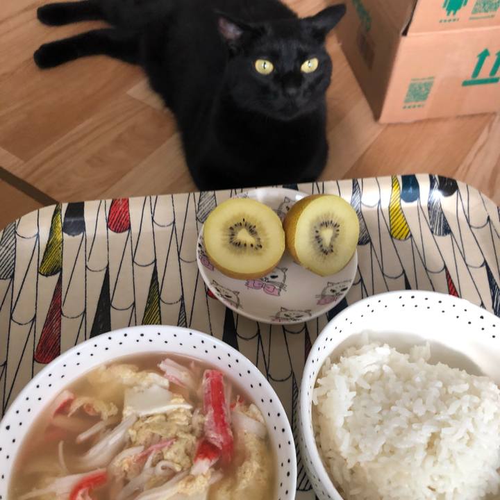 1e8a2a86 7eed 439f 8775 037cc36262af 1559643560183