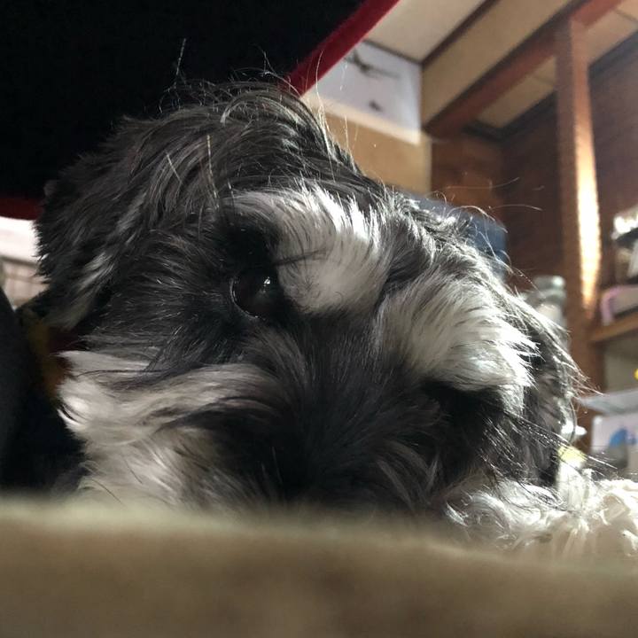 1e8a7f5e ad29 4f73 bd8b 6343f1cbb59e 1670129551761