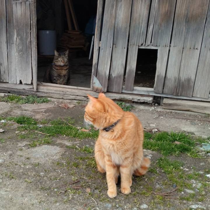 1e8a821e 3a12 40f1 8112 c78061db1f8e 1678953918714