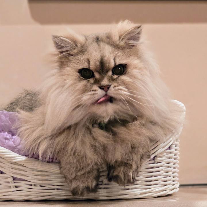 1e8aa005 3b44 4544 b7b6 776898d31e4c 1744878978070