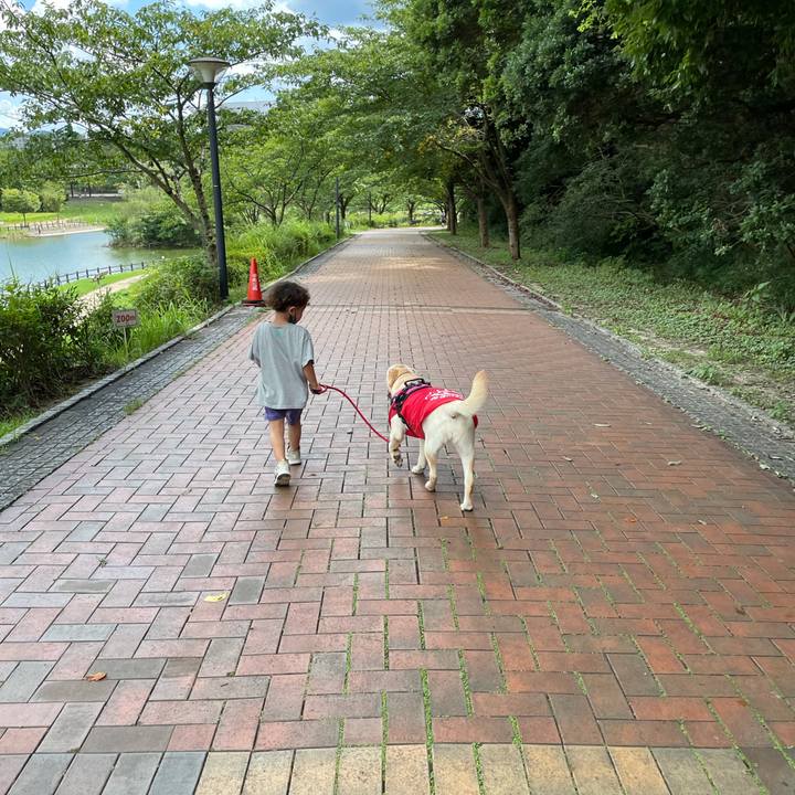 1e8ac5a6 f097 496f bd74 e336175ce41e 1629354716681