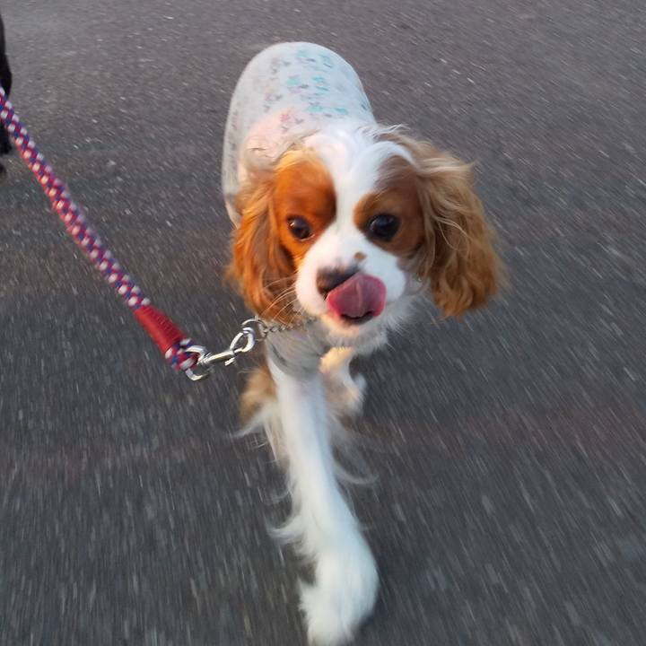 1e8add1e 4595 4a8d 8a58 df170a063ad2 1590670334052