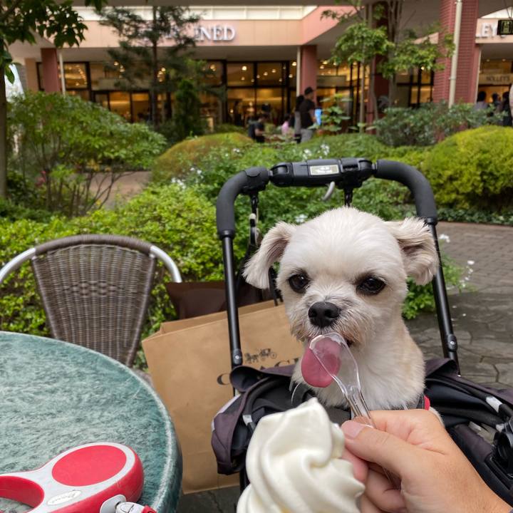 1e8ae2f2 c2a5 4a2b bc45 a61acd4e4c5c 1571551739916