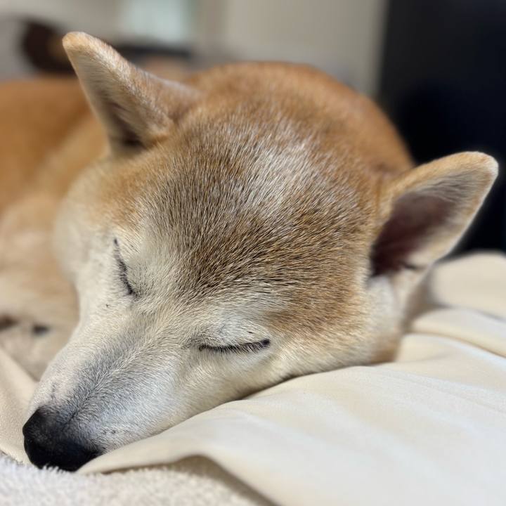 1e8ae500 1737 44da 8580 fe5b8a730453 1736460324278