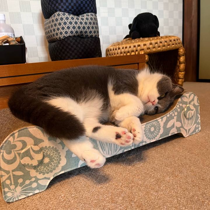 1e8b445f baf1 4f3b 9846 06571a361748 1654395396071