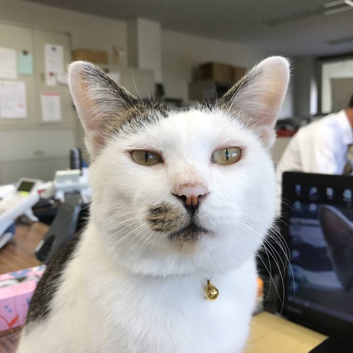 1e8b9bbe a126 4fc7 932e 9e23f8e8b1e7 1508731553486