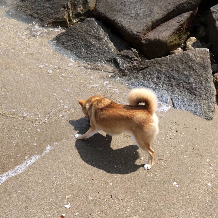 1e8b9d13 004a 4137 8636 b731673935c5 1651486332560