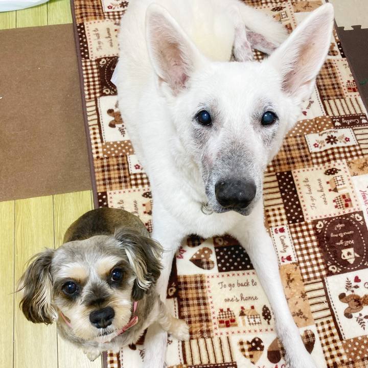 1e8ba9eb 6ce1 49e3 bb6e 60d65f71d30a 1677486356365