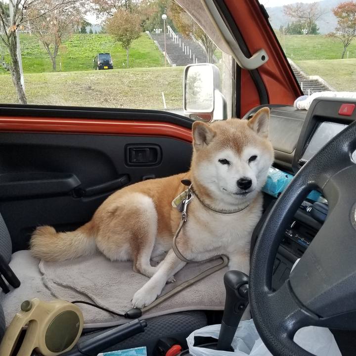 1e8bdb9e 7650 4c77 9147 e37b5bbbe335 1698388098941