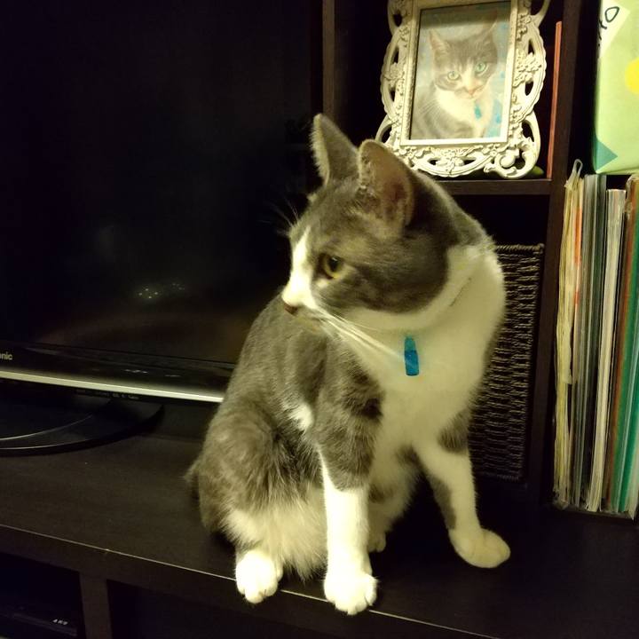 1e8bed91 4493 4d5f 9066 4f5bd3001e4e 1600266437934