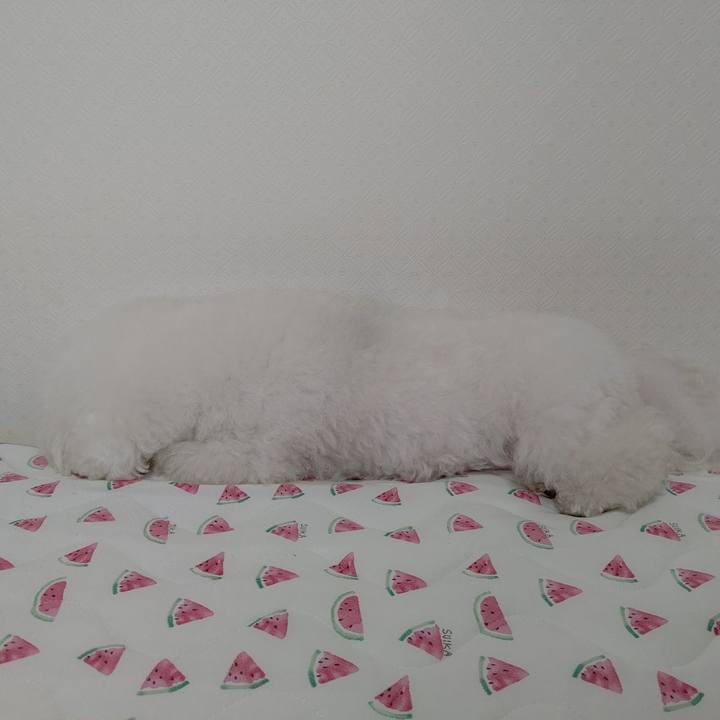 1e8bf35d 5e4c 4100 b5af 4799ba1d6685 1599353443976