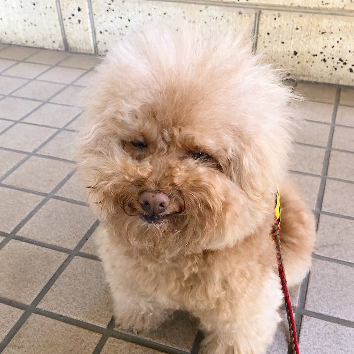 1e8c4723 a040 454a 88ed 4e5643ed2565 1551440373940